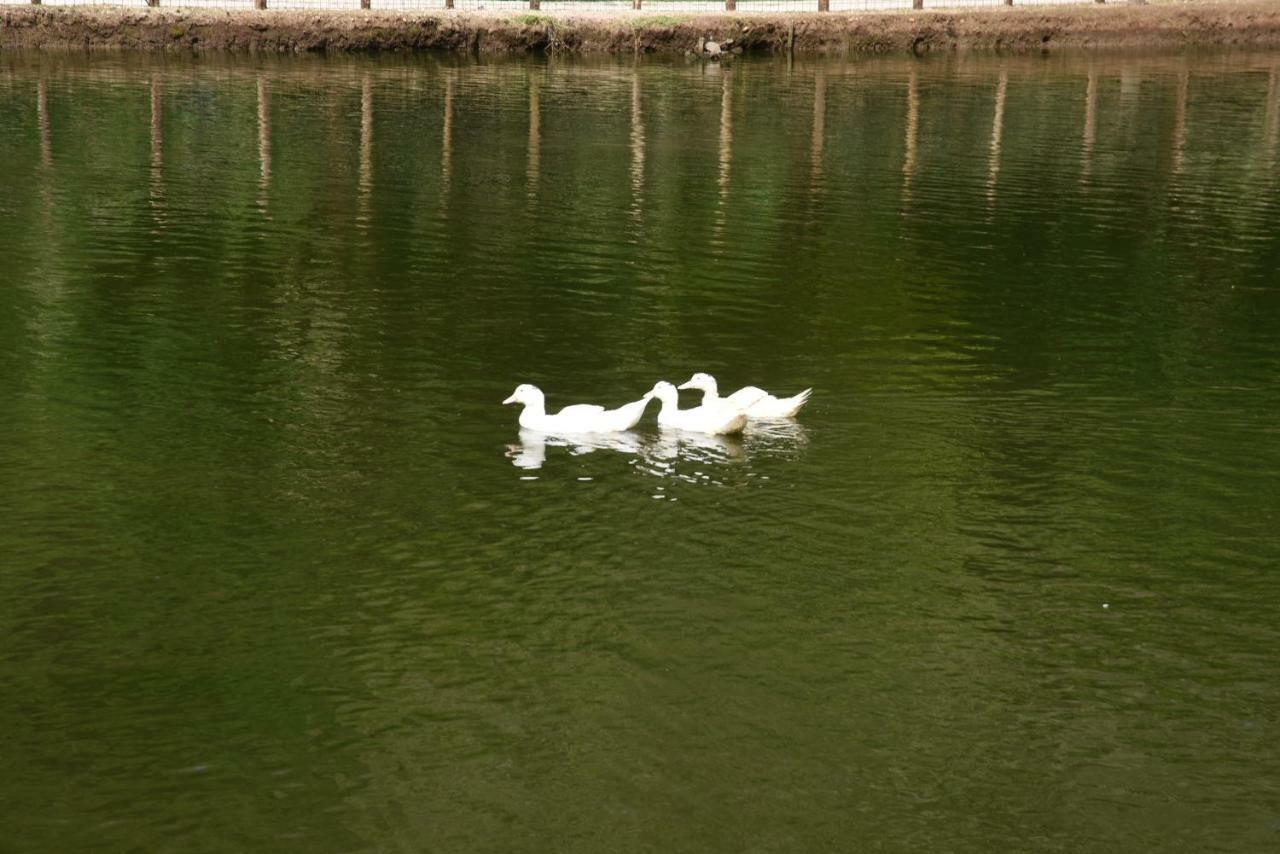 הוילה פלסטרינה Agriturismo Casale Pepe מראה חיצוני תמונה